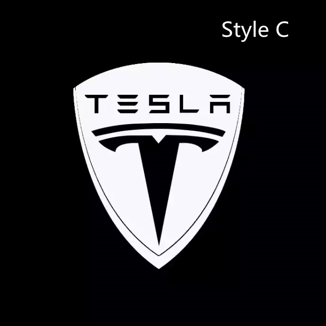 Tesla Model X Puddle lights